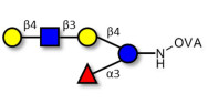 Lacto-N-neofucopentaose V (LNnFP-V) grafted on OVA