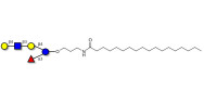 Lacto-N-neofucopentaose V (LNnFP-V) with stearic chain (Linker-STEA A)