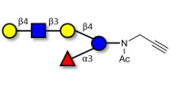 Lacto-N-neofucopentaose V (LNnFP-V) with terminal alkyne (Linker-CΞCH A)