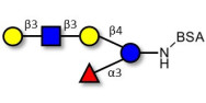 Lacto-N-fucopentaose V (LNFP V) grafted on BSA