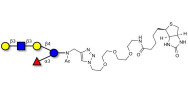 Lacto-N-fucopentaose V (LNFP V) linked to biotin (Linker-BT A)