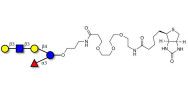 Lacto-N-fucopentaose V (LNFP V) linked to biotin (Linker-BT C)