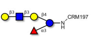 Lacto-N-fucopentaose V (LNFP V) grafted on CRM197