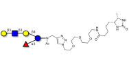 Lacto-N-fucopentaose V (LNFP V) linked to desthiobiotin (Linker-DBT-A)