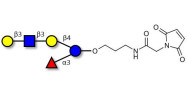Lacto-N-fucopentaose V (LNFP V) linked to maleimide (Linker-MAL A)