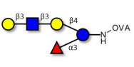 Lacto-N-fucopentaose V (LNFP V) grafted on OVA