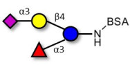3’-Sialyl-3-Fucosyllactose grafted on BSA
