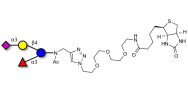 3’-Sialyl-3-Fucosyllactose linked to biotin (Linker-BT A)