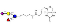 3’-Sialyl-3-Fucosyllactose linked to biotin (Linker-BT B)
