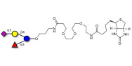 3’-Sialyl-3-Fucosyllactose linked to biotin (Linker-BT C)