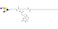 3’-Sialyl-3-Fucosyllactose linked to biotin and stearic chain (Linker-BT-STEA A)