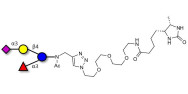 3’-Sialyl-3-Fucosyllactose linked to desthiobiotin (Linker-DBT-A)