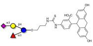 3’-Sialyl-3-Fucosyllactose linked to fluorescein (Linker-FLUO A)