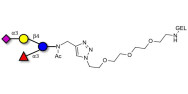 3’-Sialyl-3-Fucosyllactose grafted on gel for affinity chromatography (Linker-GEL A)
