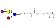 3’-Sialyl-3-Fucosyllactose with cyclic di-thiol (Linker-LIPO A)