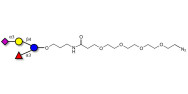 3’-Sialyl-3-Fucosyllactose with terminal azide (Linker-N3 A)