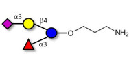 3’-Sialyl-3-Fucosyllactose with free terminal amine (Linker-NH2 A)