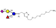 3’-Sialyl-3-Fucosyllactose with free terminal amine (Linker-NH2 B)