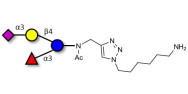 3’-Sialyl-3-Fucosyllactose with free terminal amine (Linker-NH2 D)