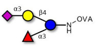 3’-Sialyl-3-Fucosyllactose grafted on OVA