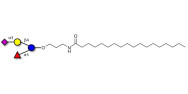 3’-Sialyl-3-Fucosyllactose with stearic chain (Linker-STEA A)