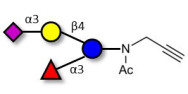 3’-Sialyl-3-Fucosyllactose with terminal alkyne (Linker-CΞCH A)