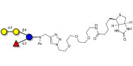 α-3-Galactosyl-3-Fucosyllactose linked to biotin (Linker-BT A)