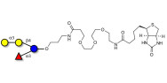 α-3-Galactosyl-3-Fucosyllactose linked to biotin (Linker-BT C)