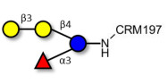 α-3-Galactosyl-3-Fucosyllactose grafted on CRM197