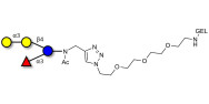 α-3-Galactosyl-3-Fucosyllactose grafted on gel for affinity chromatography (Linker-GEL A)