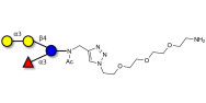 α-3-Galactosyl-3-Fucosyllactose with free terminal amine (Linker-NH2 B)