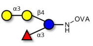 α-3-Galactosyl-3-Fucosyllactose grafted on OVA