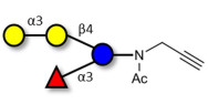 α-3-Galactosyl-3-Fucosyllactose with terminal alkyne (Linker-CΞCH A)
