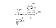 Difucosyllactose (DFL) / Lactodifucotetraose grafted on BSA