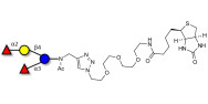 Difucosyllactose (DFL) / Lactodifucotetraose linked to biotin (Linker-BT A)