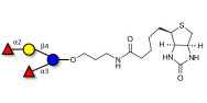 Difucosyllactose (DFL) / Lactodifucotetraose linked to biotin (Linker-BT B)