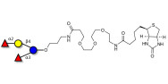 Difucosyllactose (DFL) / Lactodifucotetraose linked to biotin (Linker-BT C)