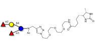 Difucosyllactose (DFL) / Lactodifucotetraose linked to desthiobiotin (Linker-DBT-A)
