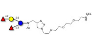 Difucosyllactose (DFL) / Lactodifucotetraose grafted on gel for affinity chromatography (Linker-GEL A)
