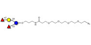 Difucosyllactose (DFL) / Lactodifucotetraose with terminal azide (Linker-N3 A)
