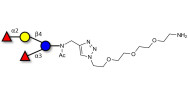 Difucosyllactose (DFL) / Lactodifucotetraose with free terminal amine (Linker-NH2 B)