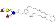 Difucosyllactose (DFL) / Lactodifucotetraose with free terminal amine (Linker-NH2 C)