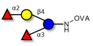Difucosyllactose (DFL) / Lactodifucotetraose grafted on OVA