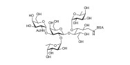 Blood group A pentaose grafted on BSA