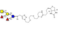 Blood group A pentaose linked to biotin (Linker-BT A)