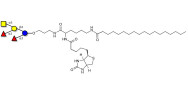 Blood group A pentaose linked to biotin and stearic chain (Linker-BT-STEA A)