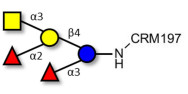 Blood group A pentaose grafted on CRM197