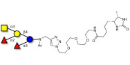 Blood group A pentaose linked to desthiobiotin (Linker-DBT-A)