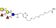 Blood group A pentaose grafted on gel for affinity chromatography (Linker-GEL A)