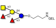 Blood group A pentaose grafted on gel for affinity chromatography (Linker-GEL B)